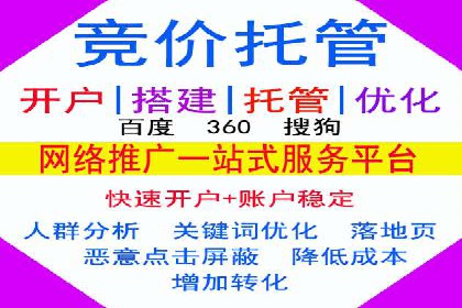 SEM竞价代运营：案例展示精准营销效果